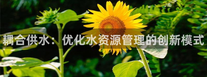 球友会app下载QY